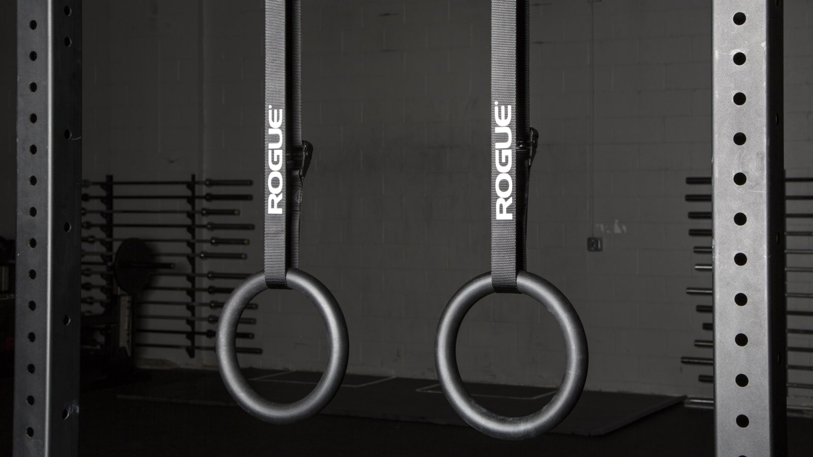 Rogue discount gym rings
